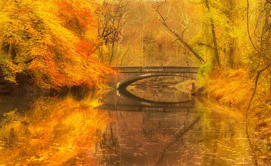 Fall Bridge