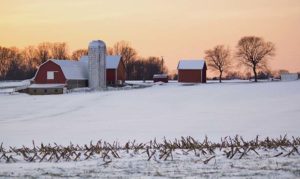 A Winter Scene of Farmland in Harford County, Maryland