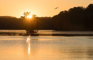 Peaceful Sunrise at Loch Raven Reservoir