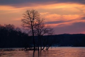 Silhouette of Trees in the Lake of Loch Raven Reservoir, Maryland after Sunset