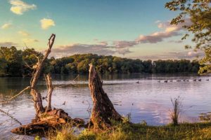Picturesque Scene at Sunset by the Lake of Loch Raven Reservoir, Maryland