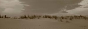 Sand Dunes at Cape Henlopen State Park near Rehoboth Beach and Lewis Delaware